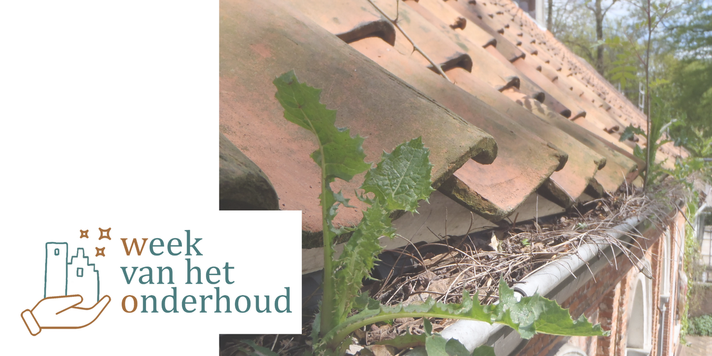 Vragenuurtje Wvh O 12okt